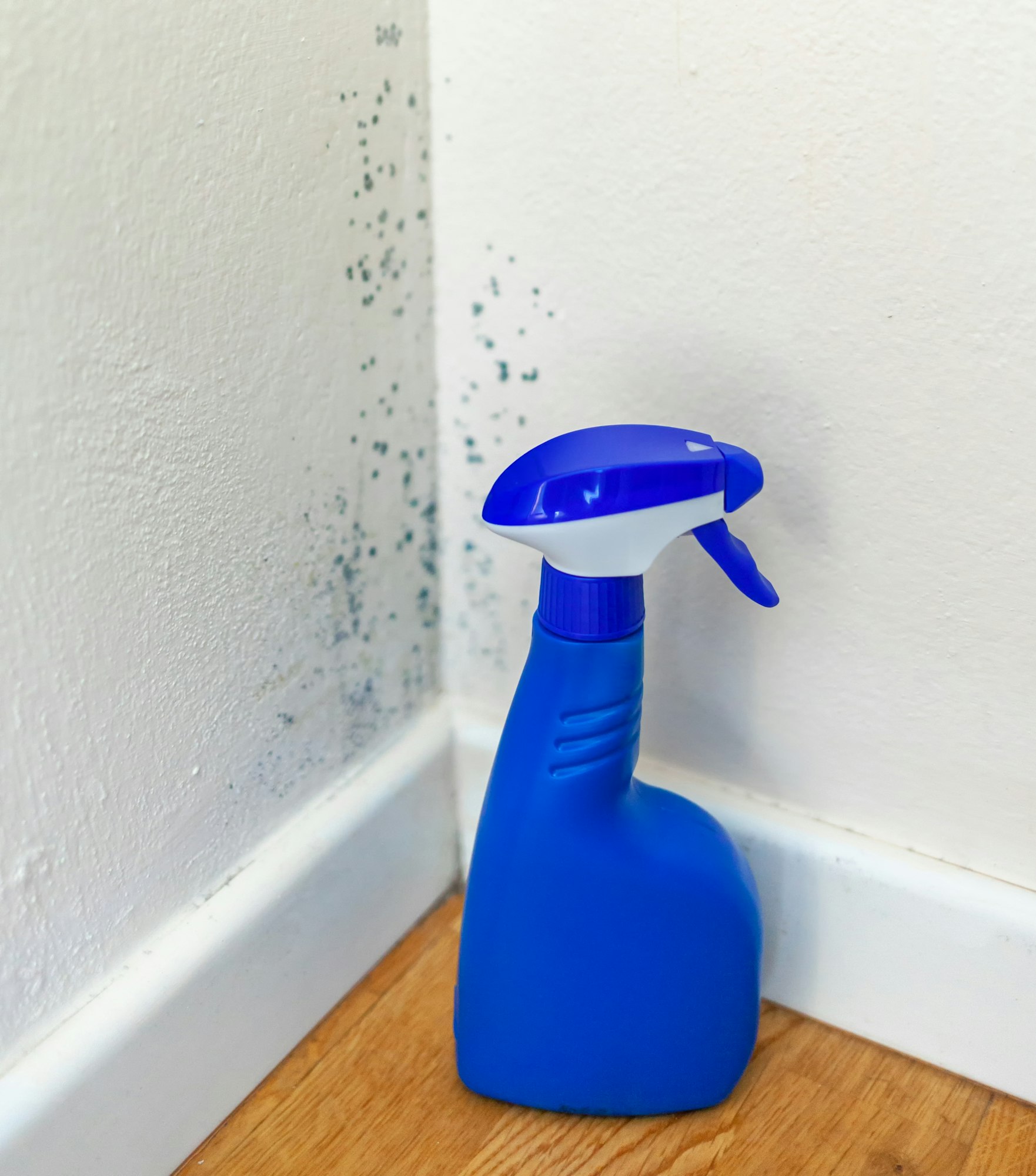 Anti-mould spray for mold removal.